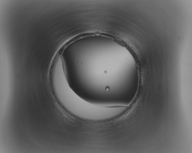 X0000112140876200908141152