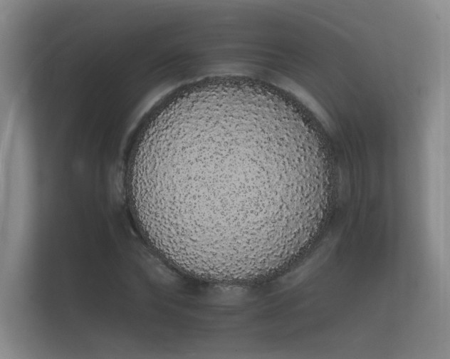 X0000112140878200908141152