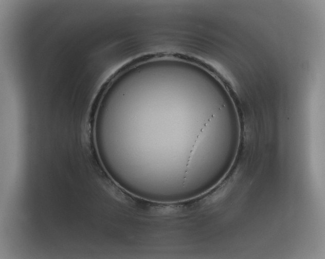 X0000112140879200908141152