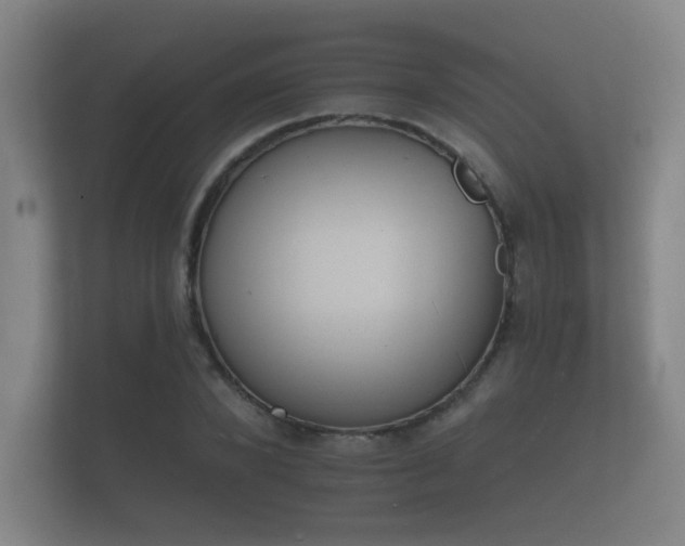 X0000112140880200908141152