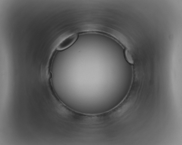 X0000112140885200908141152