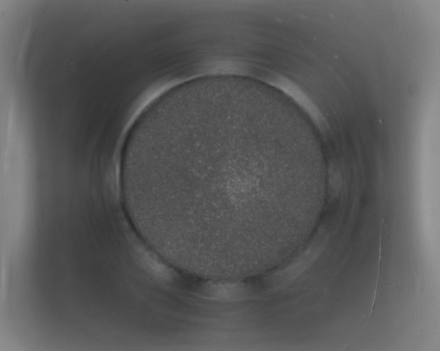 X0000112140886200908141152