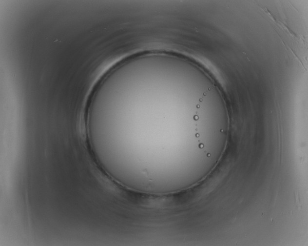 X0000112140887200908141152