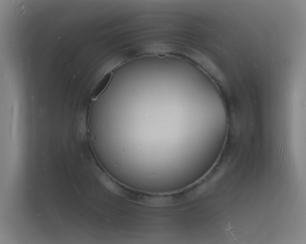 X0000112140889200908141152