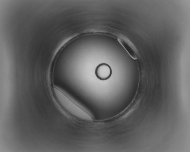 X0000112140893200908141152