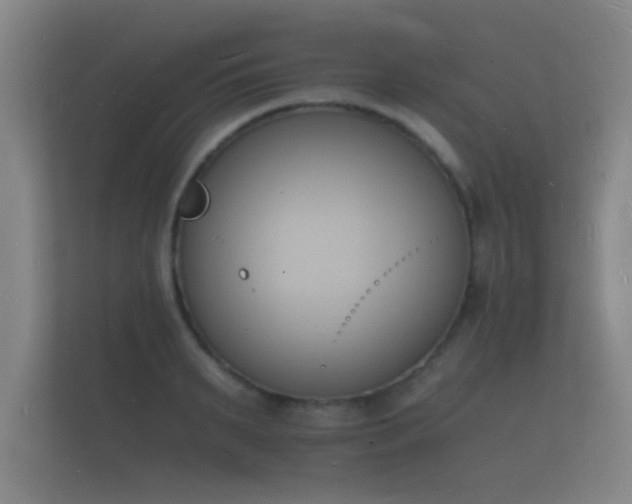 X0000112140895200908141152