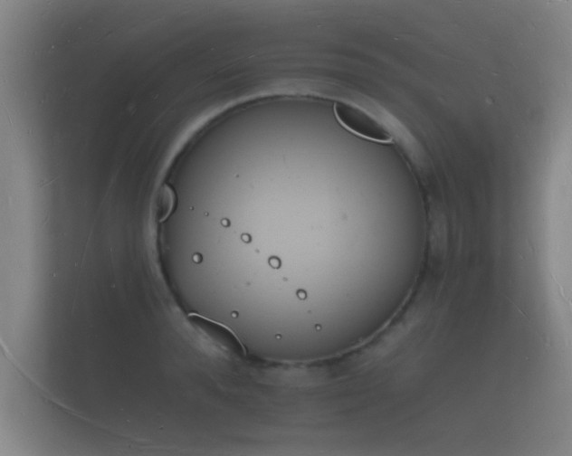 X0000112140896200908141152