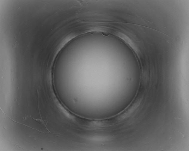 X0000112140898200908141152