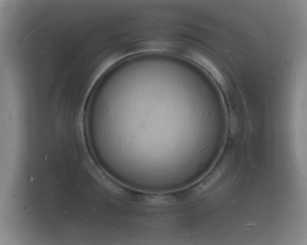 X0000112140899200908141152