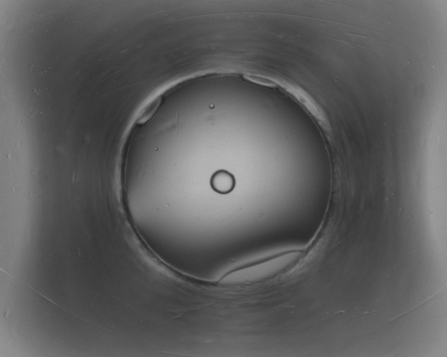 X0000112140904200908141152