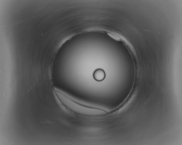 X0000112140905200908141152