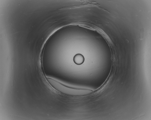 X0000112140908200908141151