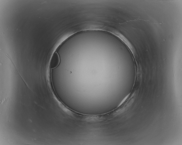 X0000112140909200908141151