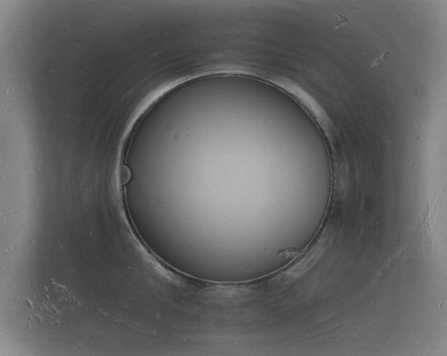 X0000112140910200908141151