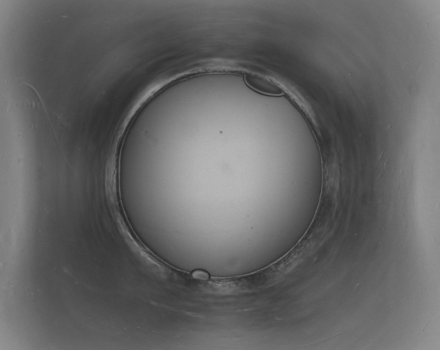 X0000112140911200908141151