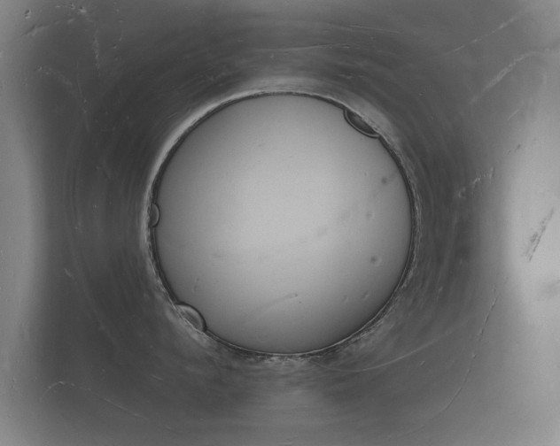 X0000112140912200908141151