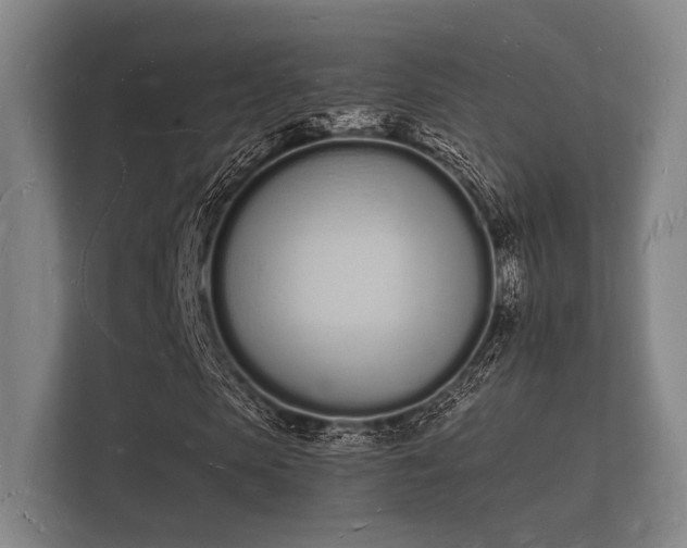 X0000112140913200908141151