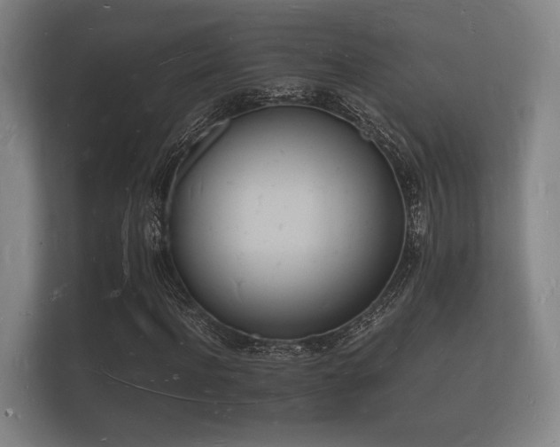 X0000112140916200908141151