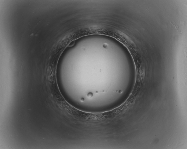 X0000112140917200908141151