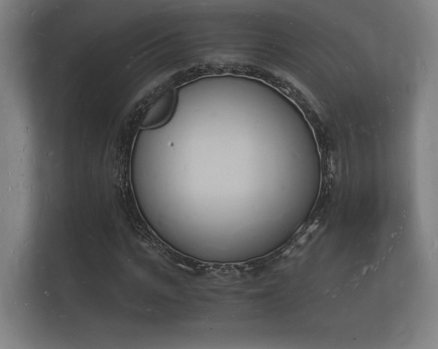 X0000112140919200908141151