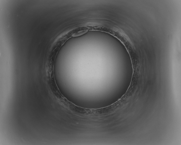 X0000112140920200908141151