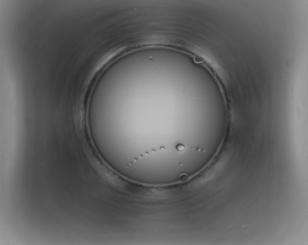 X0000112140933200908141151