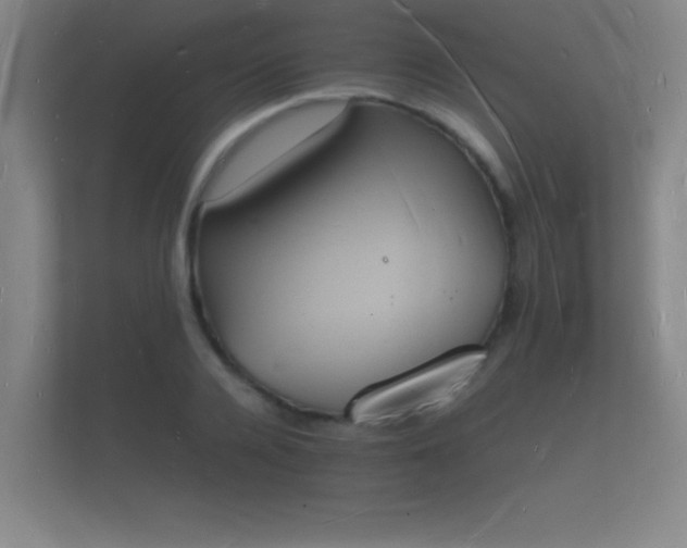 X0000112140936200908141151