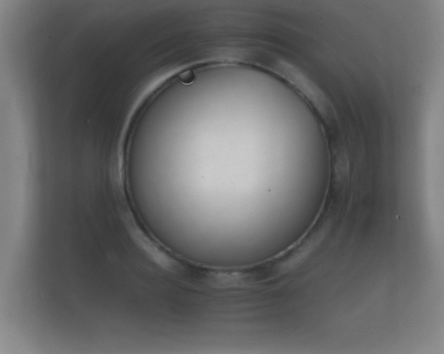 X0000112140940200908141151