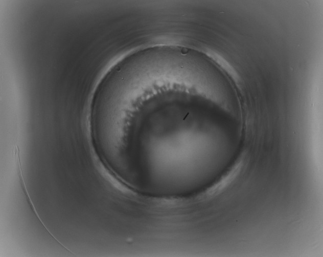 X0000112140941200908141151