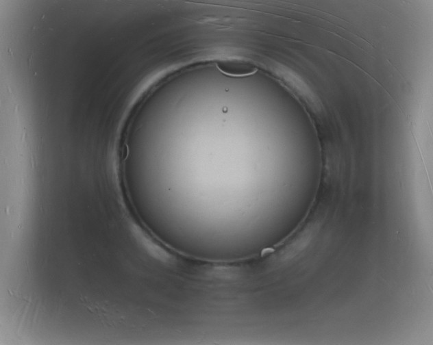 X0000112140942200908141151