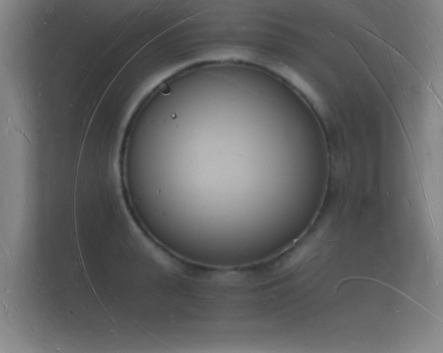 X0000112140943200908141151