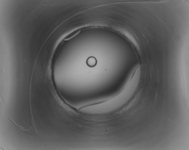 X0000112140944200908141151