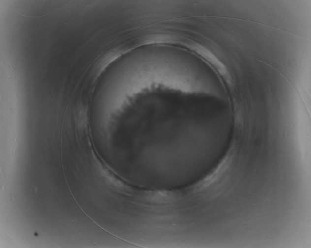 X0000112140945200908141151