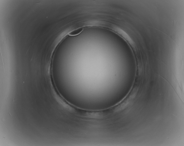 X0000112140946200908141151