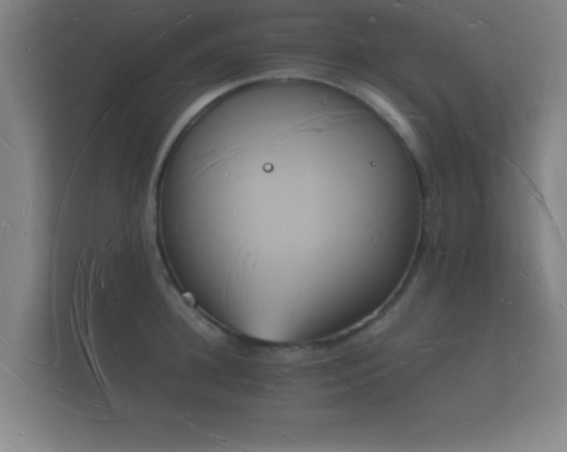 X0000112140948200908141151