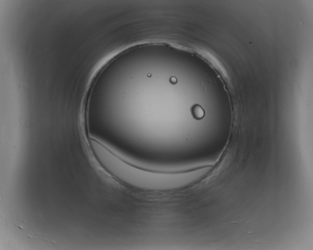 X0000112140952200908141151