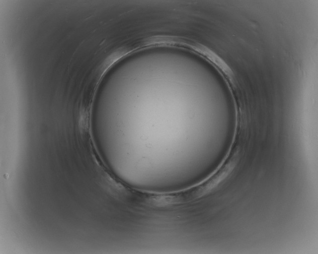 X0000112140953200908141151