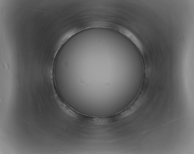 X0000112140954200908141151