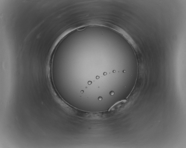 X0000112140955200908141151