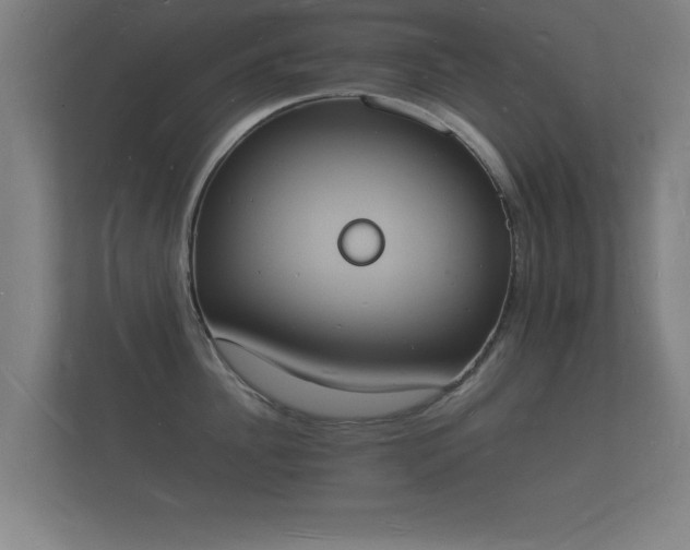 X0000112140956200908141151