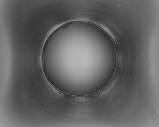 X0000112140959200908141151