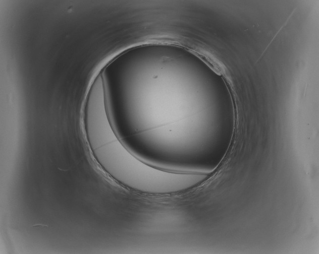 X0000112140960200908141151