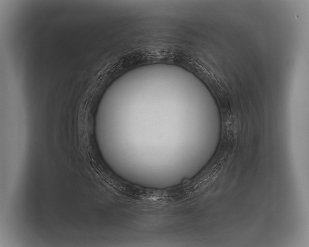 X0000112140961200908141151