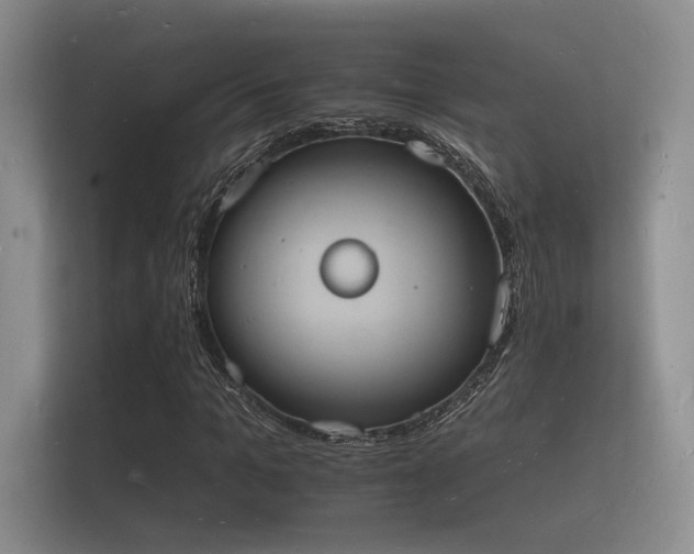 X0000112140965200908141151