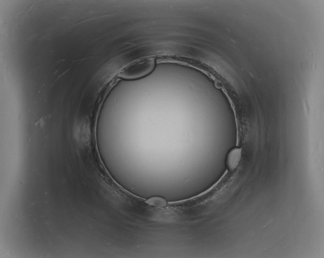 X0000112140969200908141151