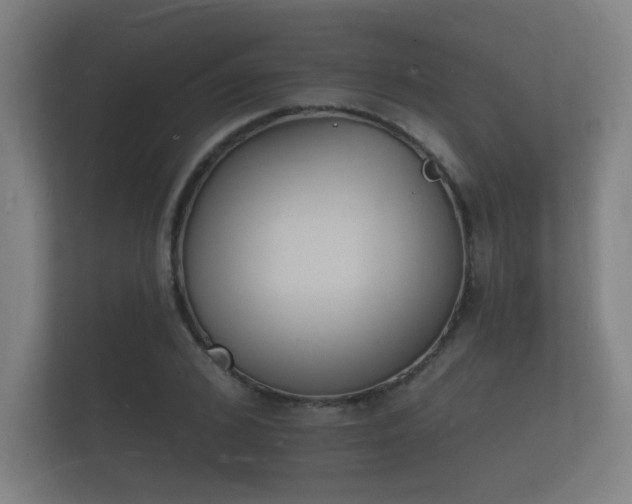 X0000112140976200908141151