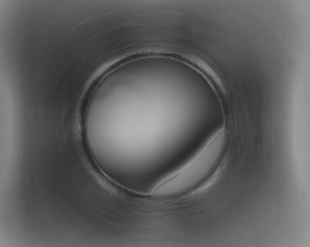 X0000112140981200908141151