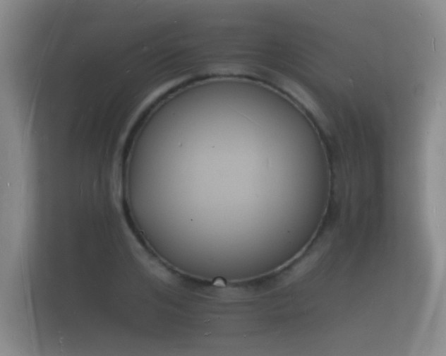 X0000112140984200908141151