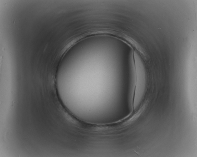 X0000112140985200908141150