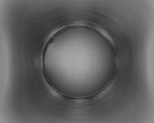 X0000112140988200908141150